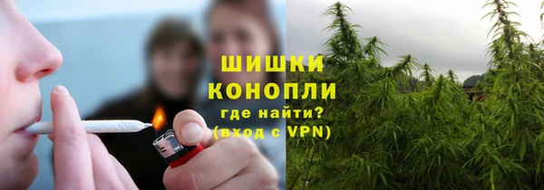 прущие грибы Алексеевка