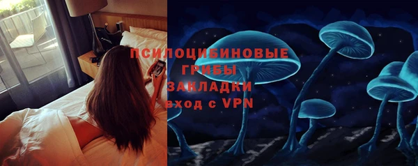 прущие грибы Алексеевка