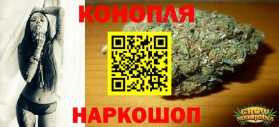 Альфа ПВП Гатчина