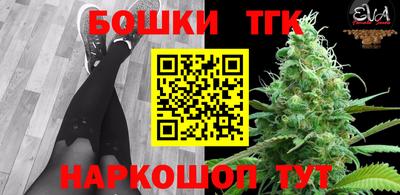 Альфа ПВП Гатчина